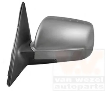 Наружное зеркало VAN WEZEL купить