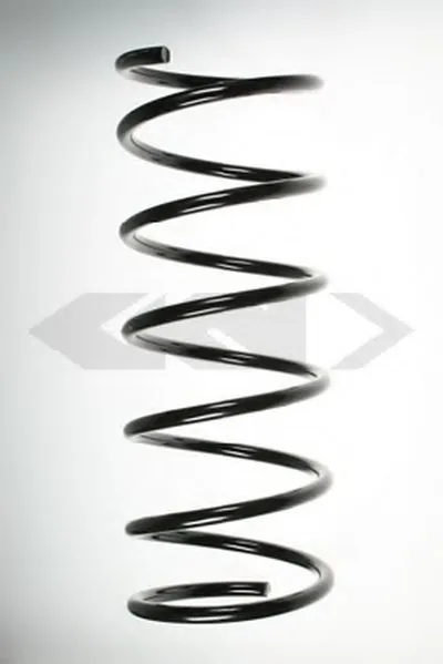 винтовая пружина SPIDAN купить