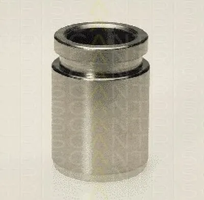 Поршень, корпус скобы тормоза TRISCAN купить