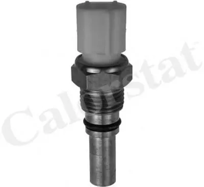 Термовыключатель, вентилятор радиатора CALORSTAT by Vernet купить