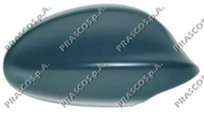 Покрытие, внешнее зеркало PRASCO купить