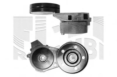 Натяжитель ремня, клиновой зубча AUTOTEAM купить