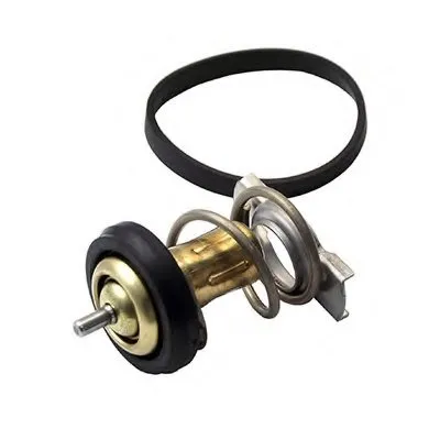 Термостат, охлаждающая жидкость FISPA купить