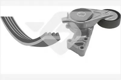 Поликлиновой ременный комплект HUTCHINSON купить