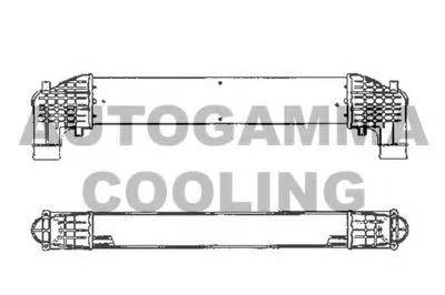 Интеркулер AUTOGAMMA купить