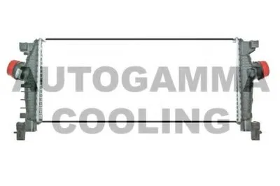 Интеркулер AUTOGAMMA купить