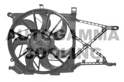 Вентилятор, охлаждение двигателя AUTOGAMMA купить