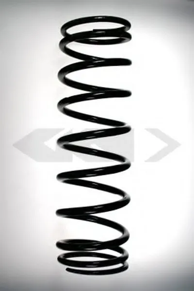 винтовая пружина SPIDAN купить