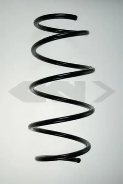 винтовая пружина SPIDAN купить