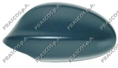 Покрытие, внешнее зеркало PRASCO купить