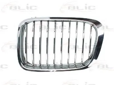 Решетка радиатора BLIC купить