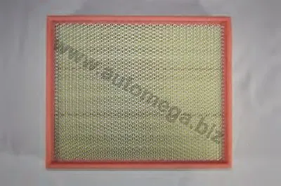 Воздушный фильтр AutoMega Premium AUTOMEGA купить