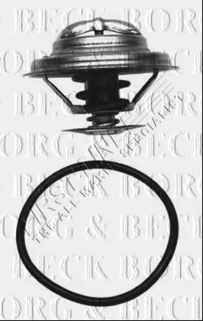 Термостат, охлаждающая жидкость BORG & BECK купить