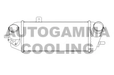 Интеркулер AUTOGAMMA купить