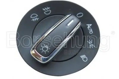 Выключатель, головной свет Borsehung купить