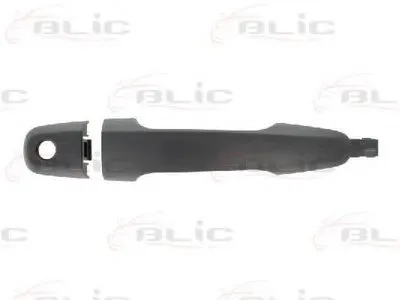 Ручка двери BLIC купить