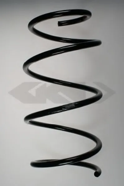 винтовая пружина SPIDAN купить