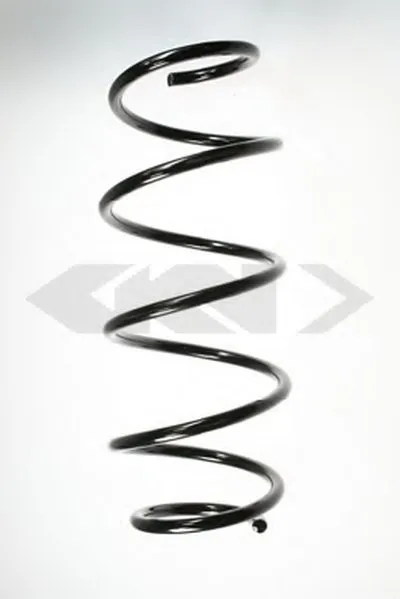 винтовая пружина SPIDAN купить