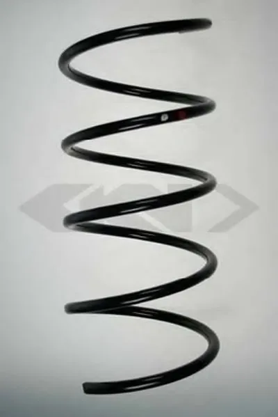 винтовая пружина SPIDAN купить