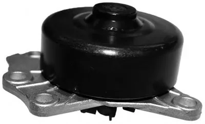 Водяной насос BUGATTI купить