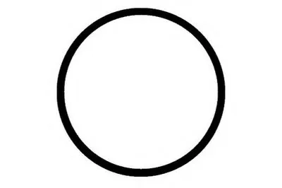 Прокладка, впускной коллектор PAYEN купить