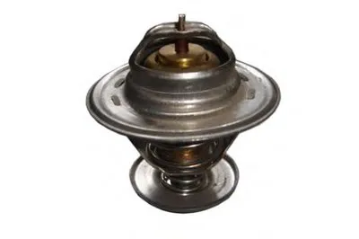 Термостат, охлаждающая жидкость MASTER-SPORT купить