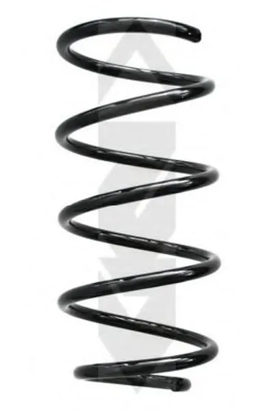винтовая пружина SPIDAN купить