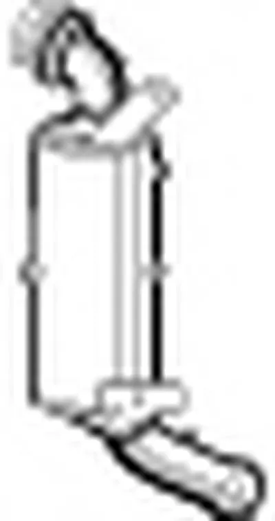 Сажевый / частичный фильтр, система выхлопа ОГ EVO C WALKER купить