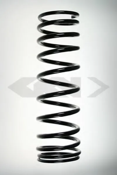 винтовая пружина SPIDAN купить