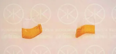 Фонарь указателя поворота KLOKKERHOLM купить