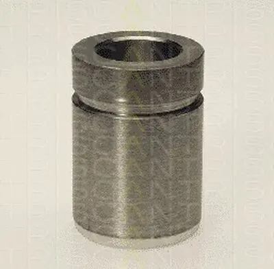 Поршень, корпус скобы тормоза TRISCAN купить