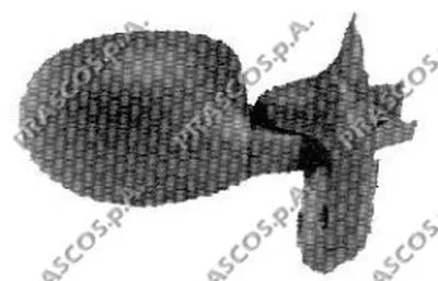 Наружное зеркало PRASCO купить