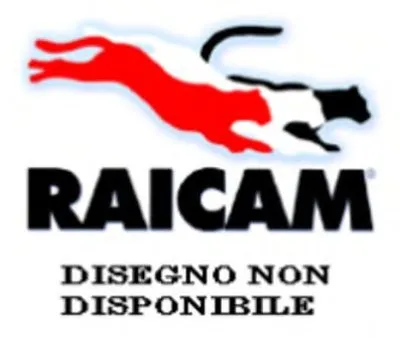 Комплект тормозных колодок, стояночная тормозная система RAICAM купить