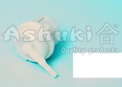 Топливный фильтр ASHUKI купить