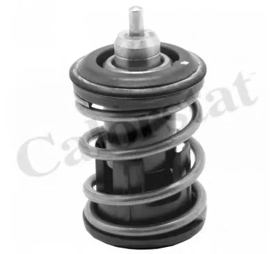 Термостат, охлаждающая жидкость CALORSTAT by Vernet купить