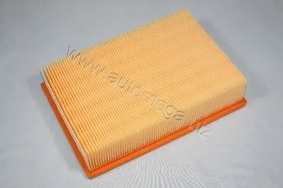 Воздушный фильтр AutoMega Premium AUTOMEGA купить