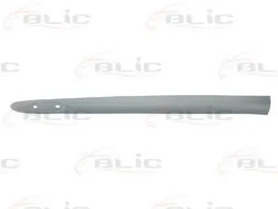 Облицовка / защитная накладка, дверь BLIC купить