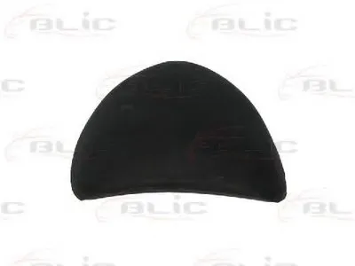 Облицовка / защитная накладка, дверь BLIC купить