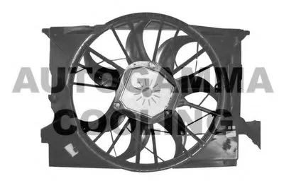 Вентилятор, охлаждение двигателя AUTOGAMMA купить