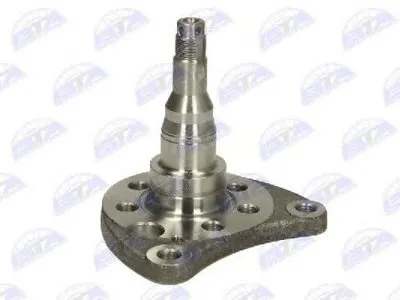 Поворотный кулак, подвеска колеса BTA купить