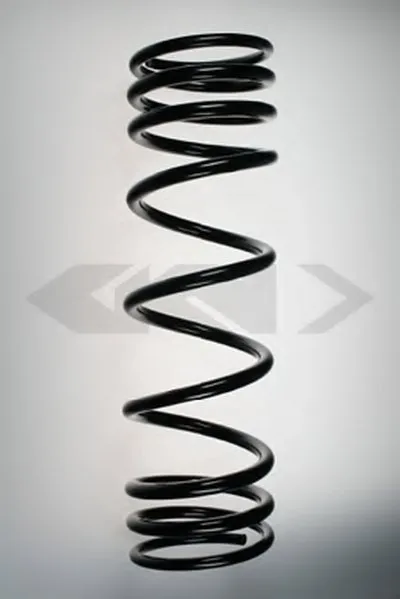 винтовая пружина SPIDAN купить