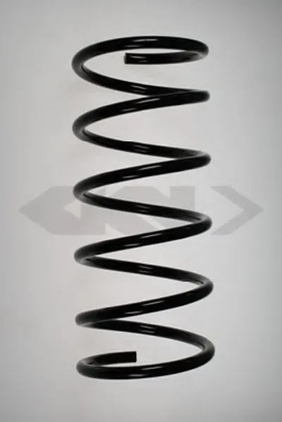 винтовая пружина SPIDAN купить