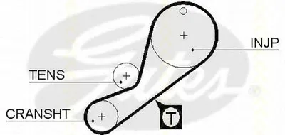 Ремень ГРМ TRISCAN купить