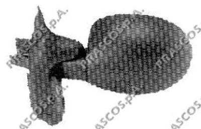 Наружное зеркало PRASCO купить