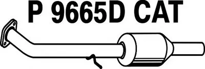 Катализатор для переоборудования FENNO купить