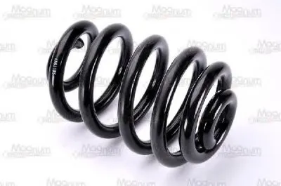 винтовая пружина Magnum Technology купить