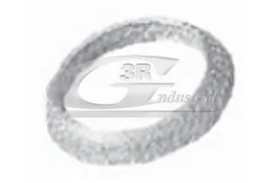 Уплотнительное кольцо, труба выхлопного газа 3RG купить