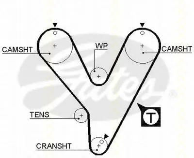 Ремень ГРМ TRISCAN купить