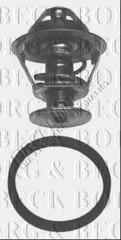 Термостат, охлаждающая жидкость BORG & BECK купить