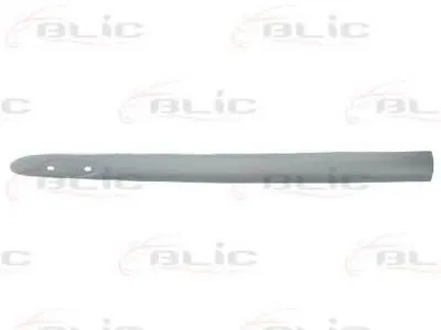 Облицовка / защитная накладка, дверь BLIC купить